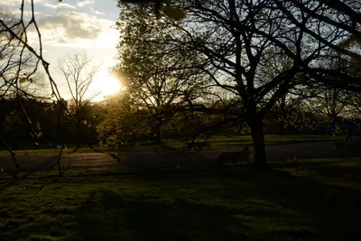 DSC_7135 (Large).JPG